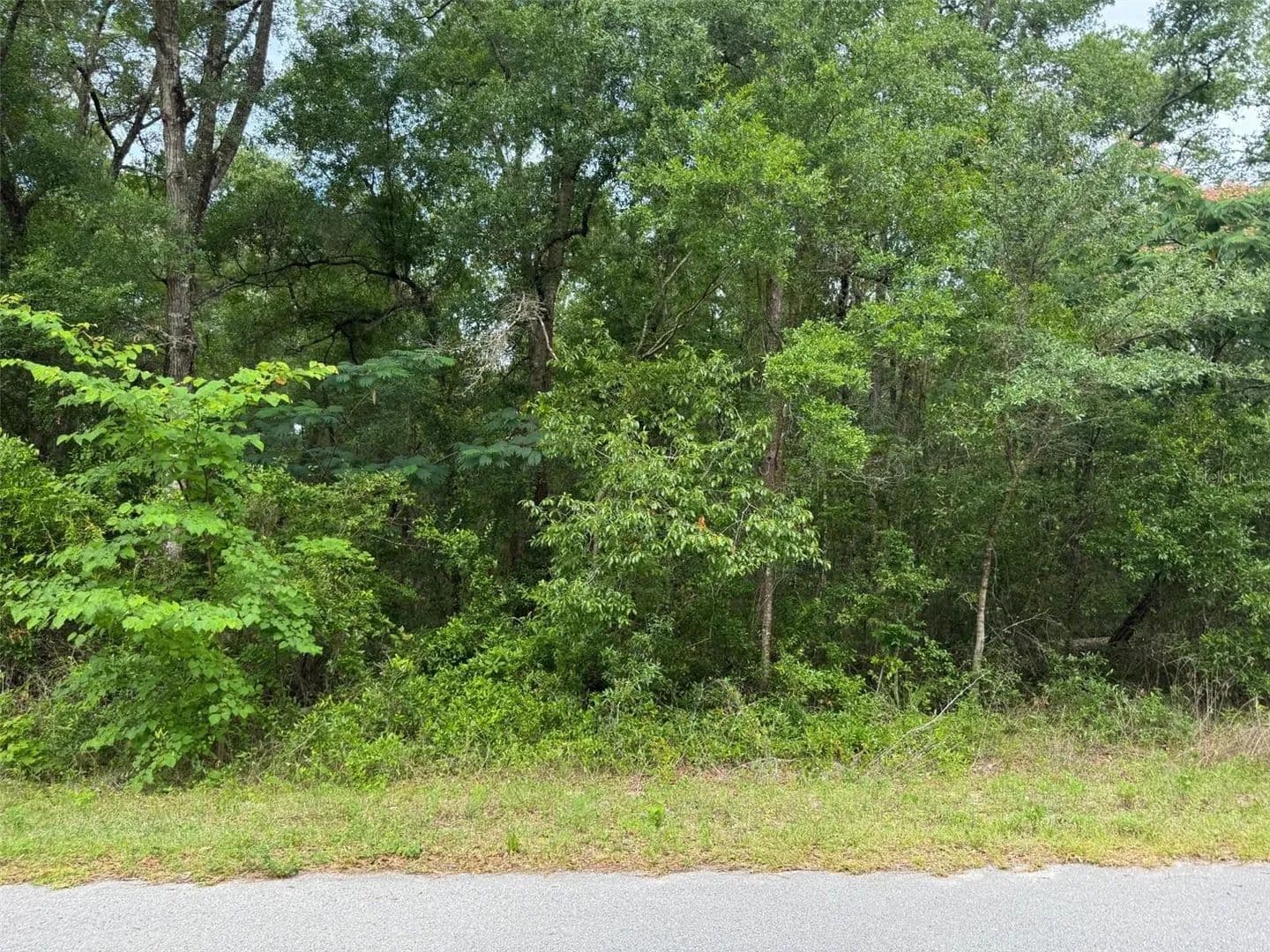 Lots & Land-Other in DUNNELLON - Dunnellon, Florida, 34431