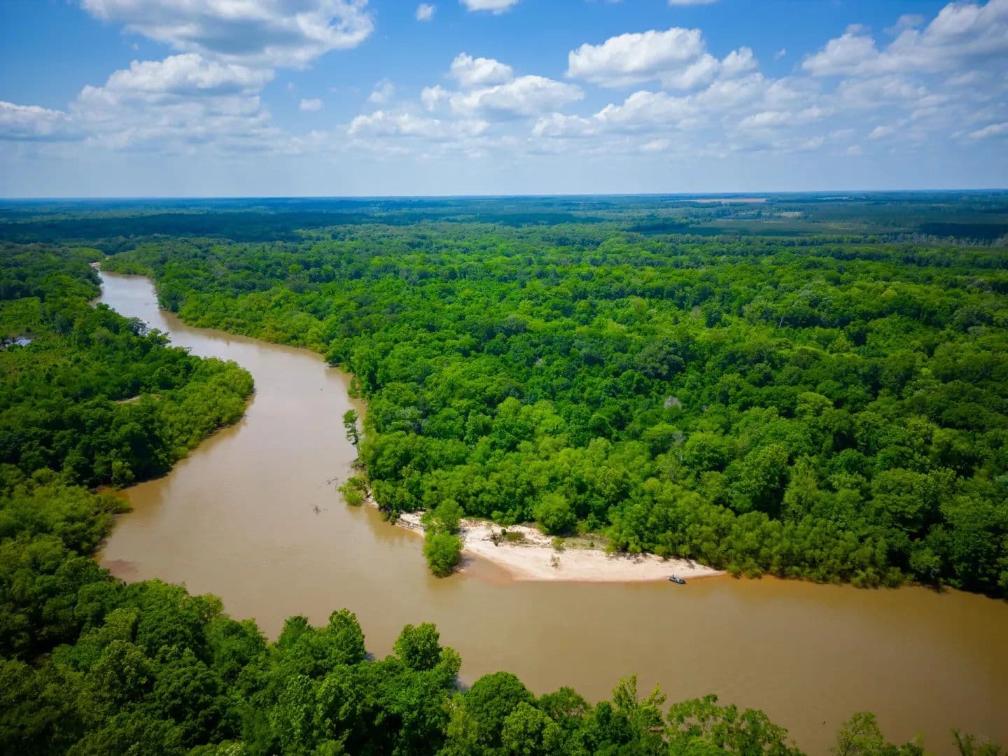 1376 Acres of Land for Sale in Jacksonville, GA - Jacksonville, Georgia, 31544