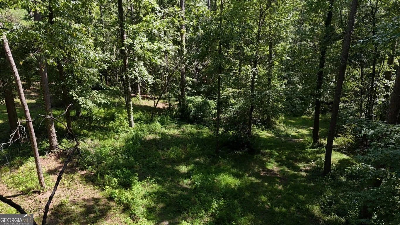 5.82 Acres of Land for Sale in Sharpsburg, GA - Sharpsburg, Georgia, 30277