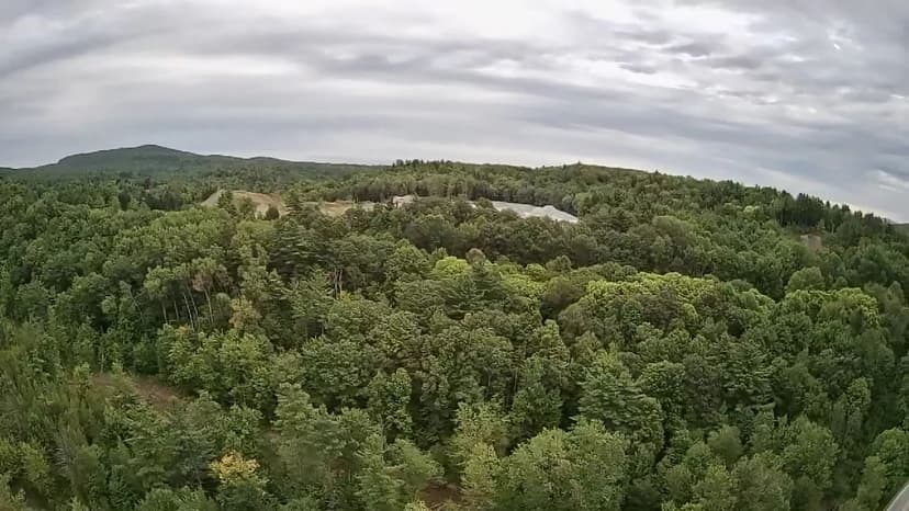 Vacant Land (0-10 Acres) in Georgia