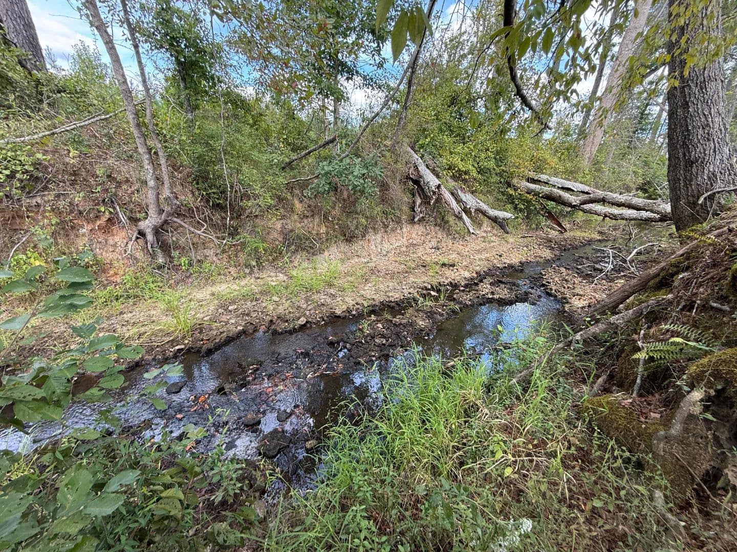 114 Acres in Attala County, MS  - Ethel, Mississippi, 39067