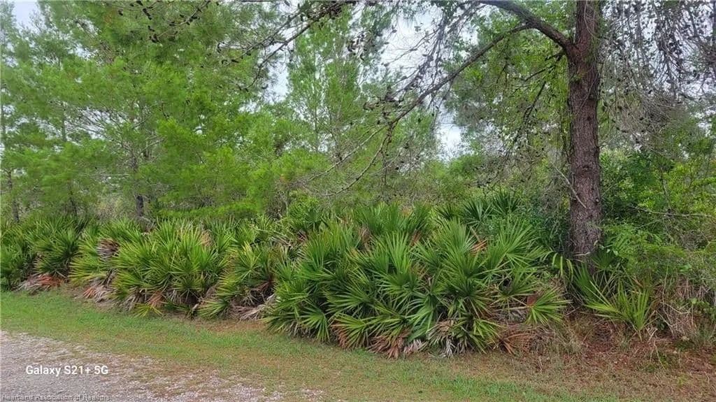 Lots & Land-Other in Lake Placid - land for sale
