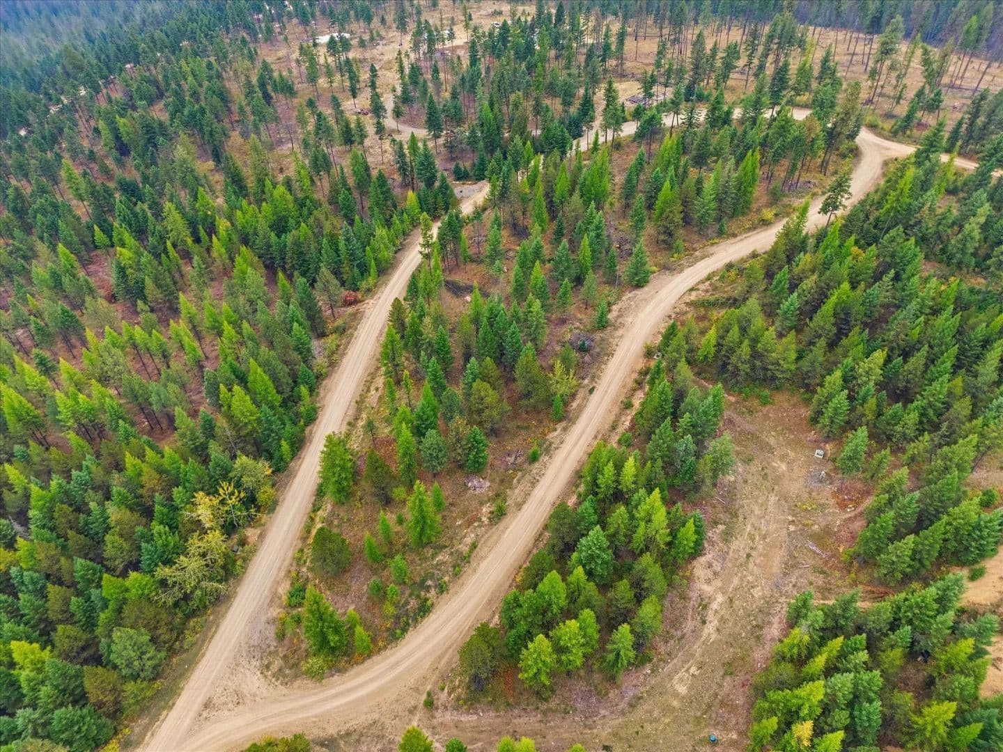 3.17 Acres of Land for Sale in Libby, MT - Libby, Montana, 59923