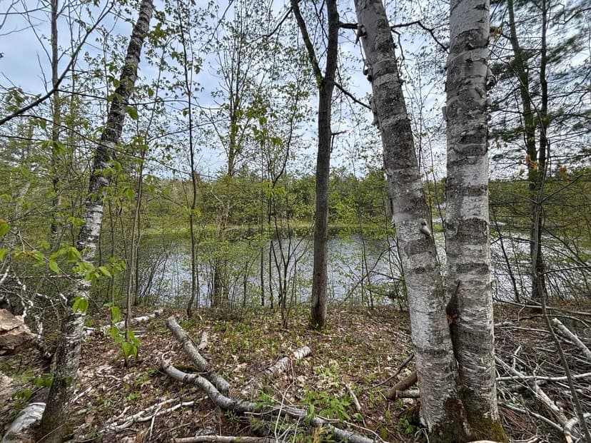 Lots & Land-Other in Gaylord