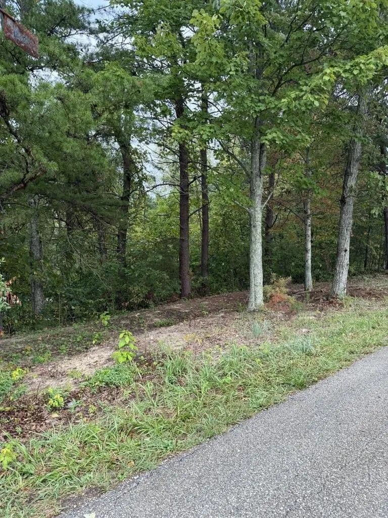 Lots & Land-Other in Wellington - Wellington, Kentucky, 40387
