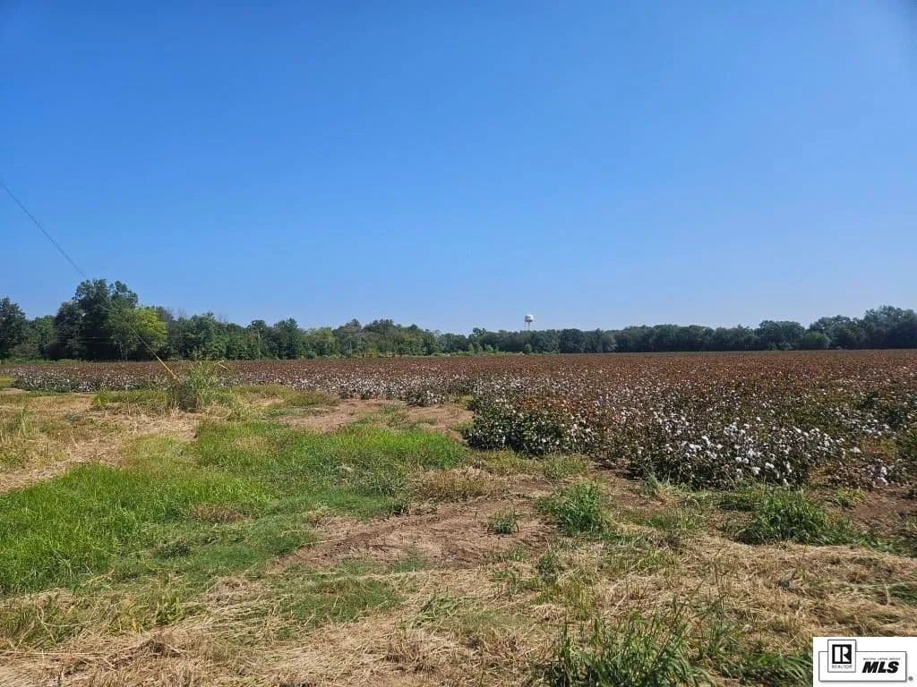 Vacant Land in Rayville - Rayville, Louisiana, 71269