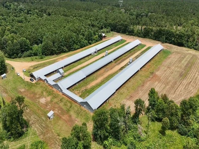 4J Breeder Farm – Three House Breeder Farm in Amite County, Mississippi - Liberty, Mississippi, 39645