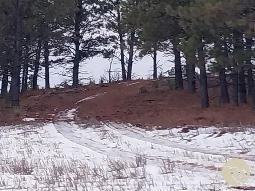 Property from 22 Eagles Nest Lane - KW