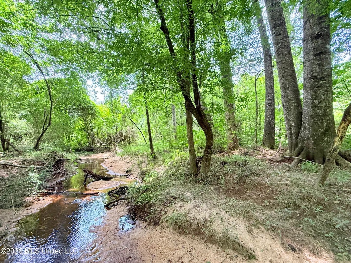 16 Acres of Land for Sale in Summit, MS - Summit, Mississippi, 39666