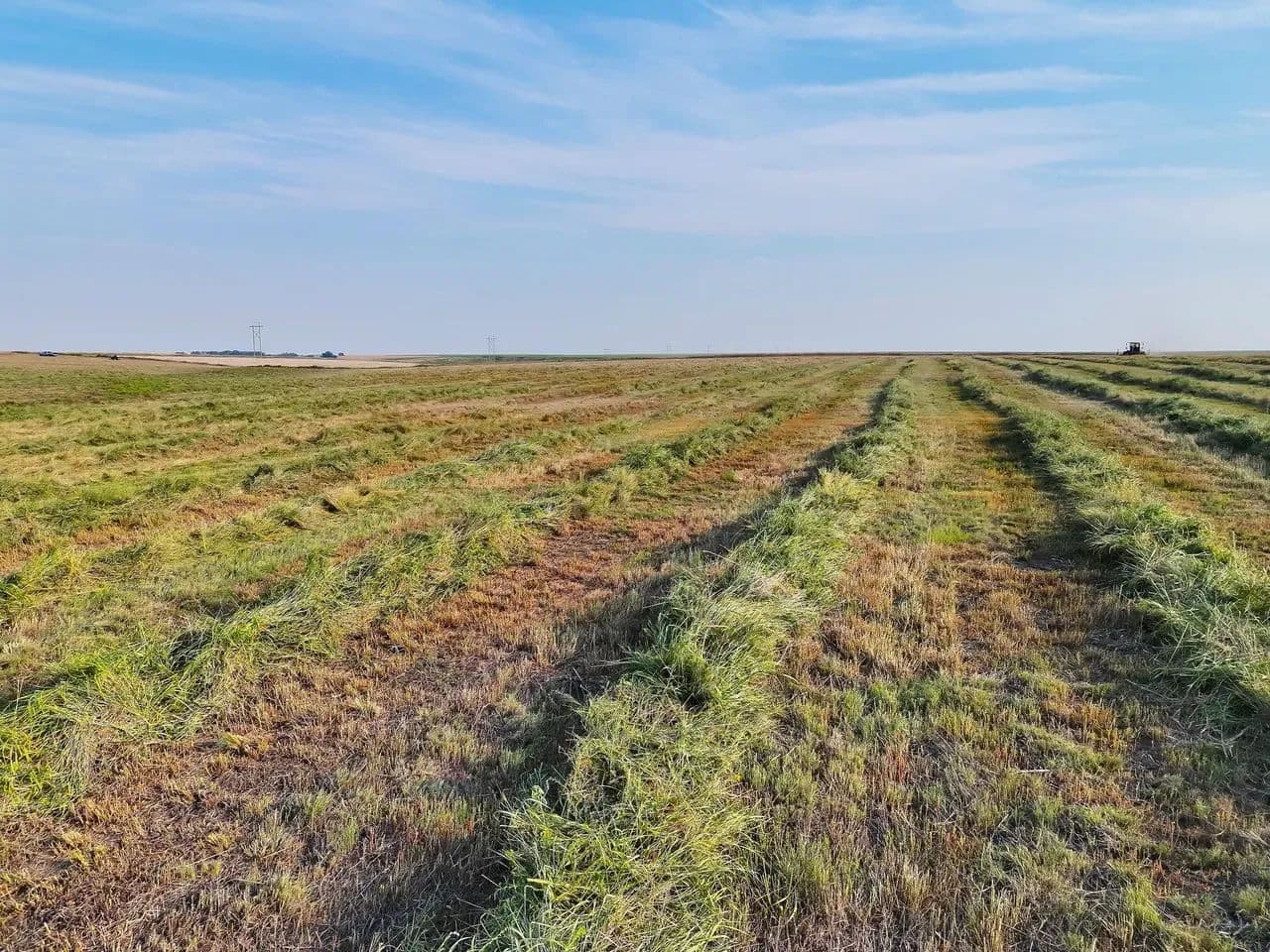 County Line CRP Quarter with Hunting Opportunities - Sharon Springs, Kansas, 67758