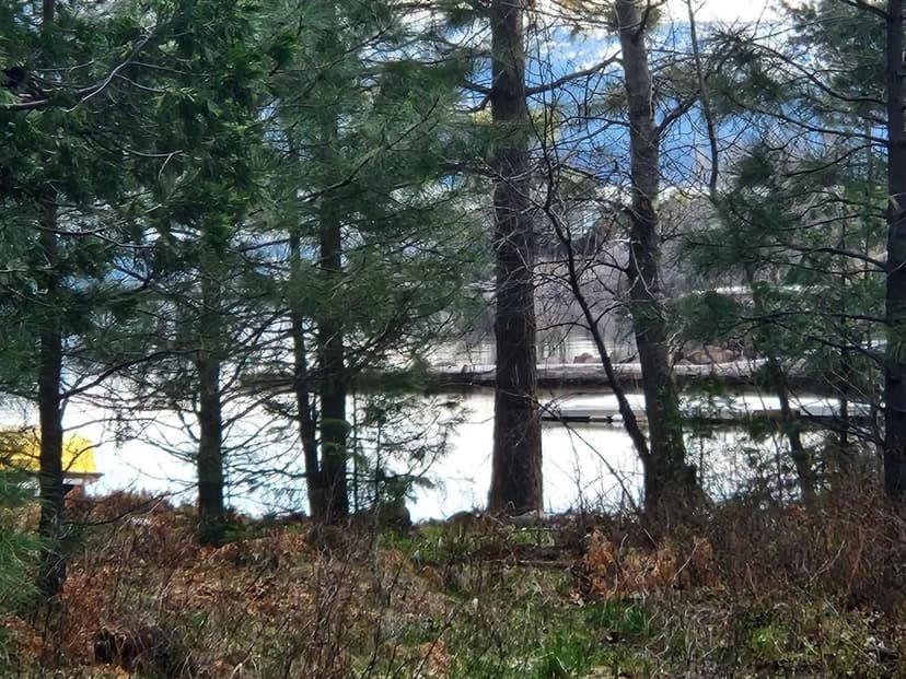 Vacant Land in Lake Almanor