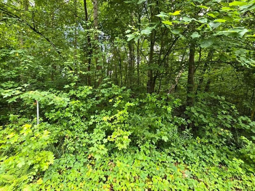 Land -Agricultural (Not Zoned) in Dunlap - Dunlap, Tennessee, 37327