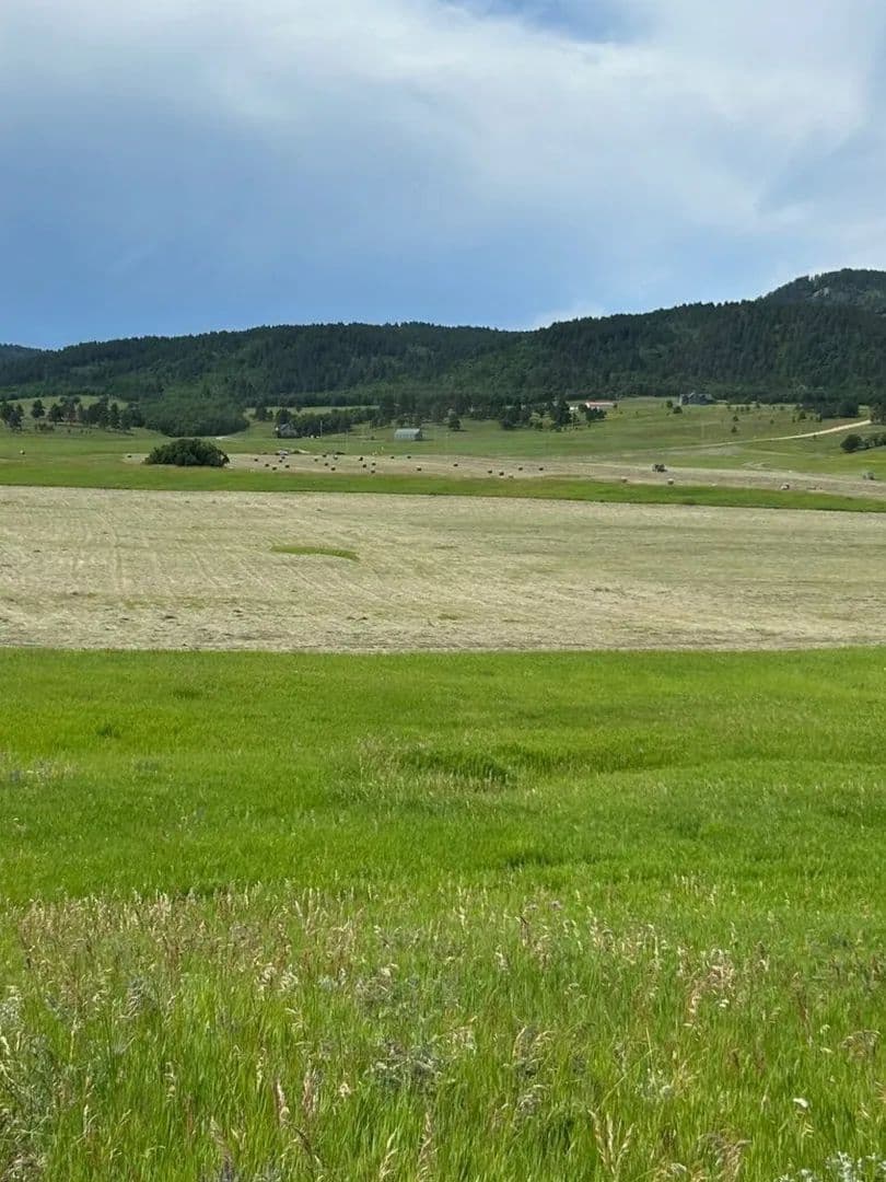 BUFFALO RANCH ESTATES 120 ACRES, Spearfish, South Dakota 57783