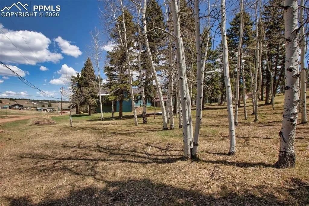 Lots & Land-Other in Divide - Divide, Colorado, 80814