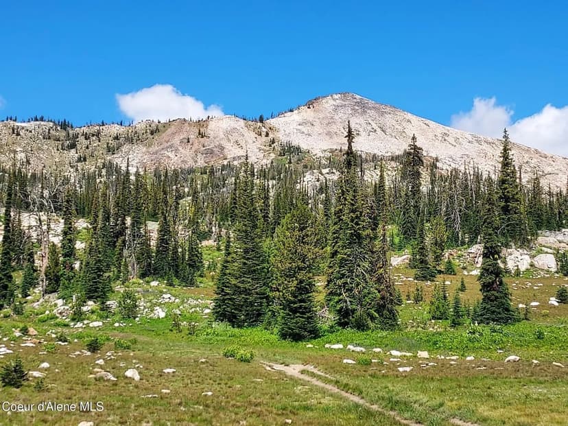 Vacant Land in Orogrande