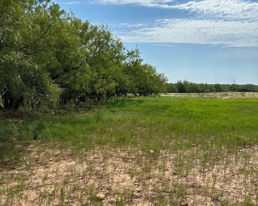 New Listing!! 14+/-Ac, Callahan County  