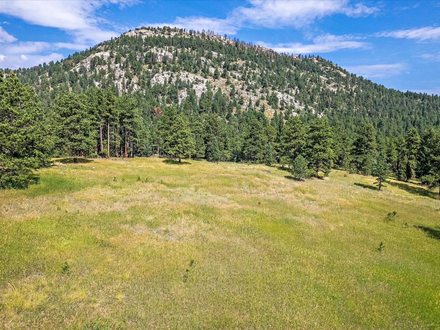 TBD Le Masters Drive - Evergreen, Colorado, 80439