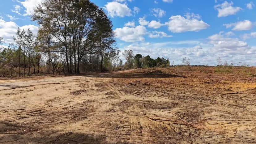 Dooly County - Edwards Rd Farms