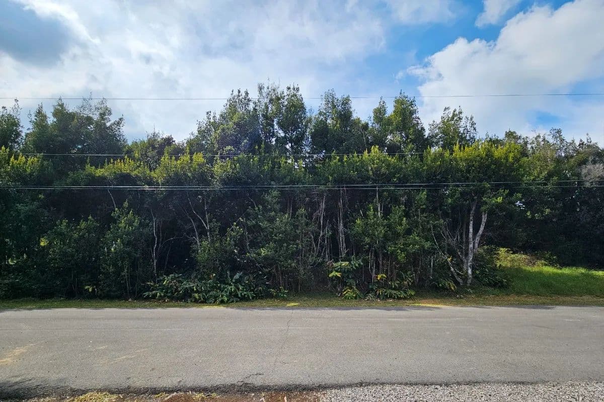 Vacant Land in Volcano - Volcano, Hawaii, 96785