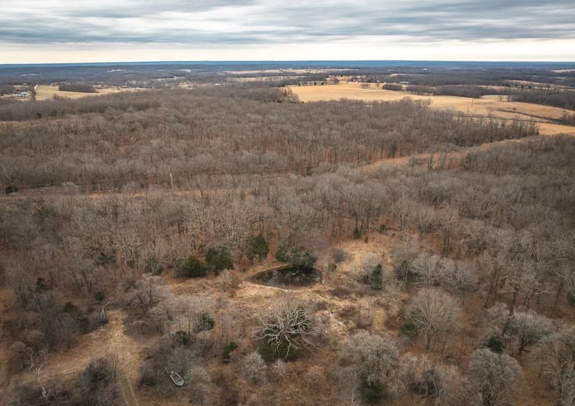 100±-Acre Hunting Oasis w/Potential Build Sites near Lake of the Ozarks – Camden County
