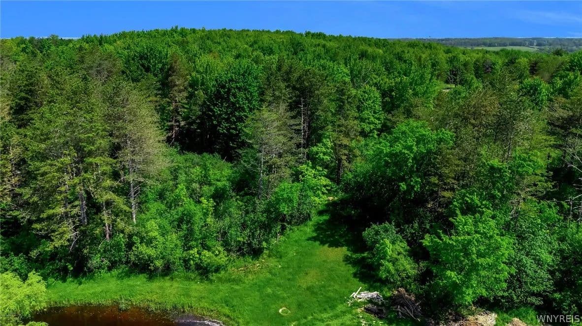 Vacant Land in Aurora - Aurora, New York, 14052