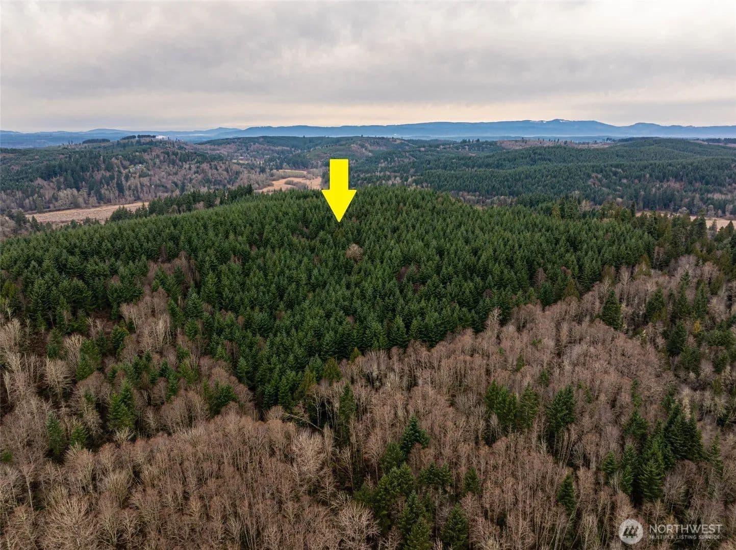Vacant Land in Centralia - Centralia, Washington, 98531