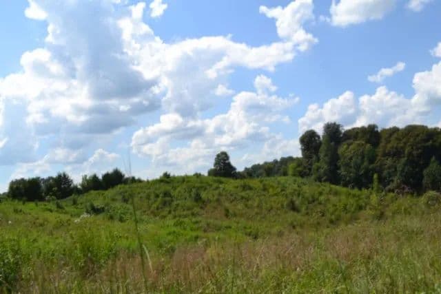 5 AC IN HUNTERS LANDING CLOSE TO CEDAR HILL LAKE - Smithville, Tennessee, 37166