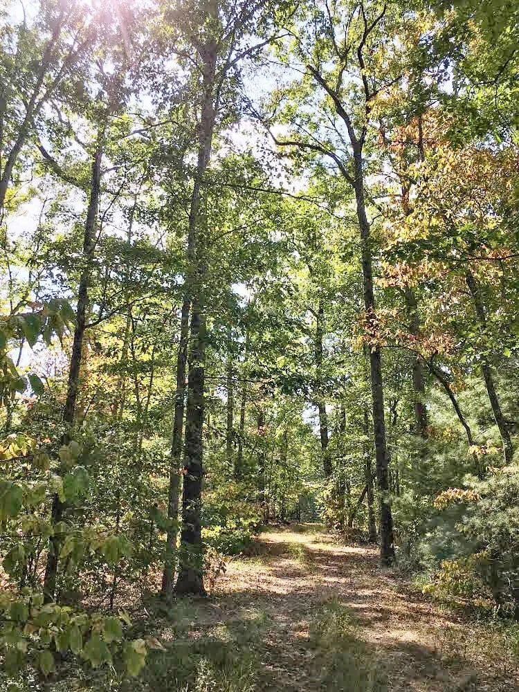 Donley Road ~ Hunter/Investor Bargain