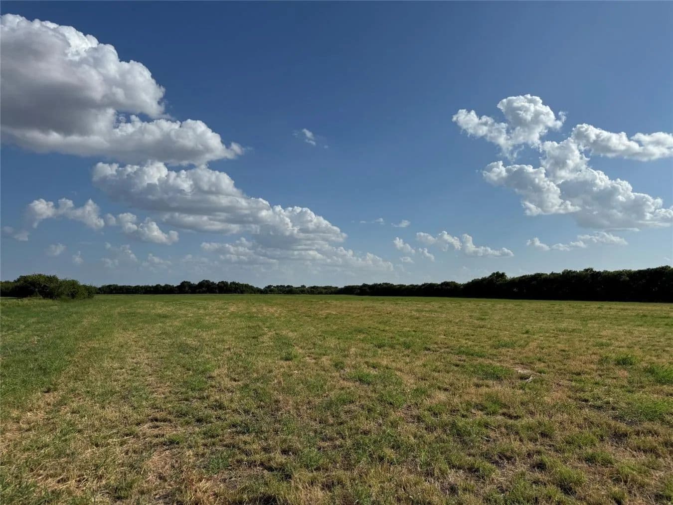 Tract 10, 23.568 Acres County Road 3700 - Leonard, Texas, 75452