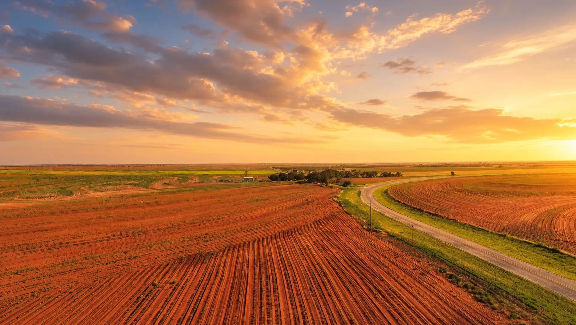 Ammons Farm - Roby, Texas