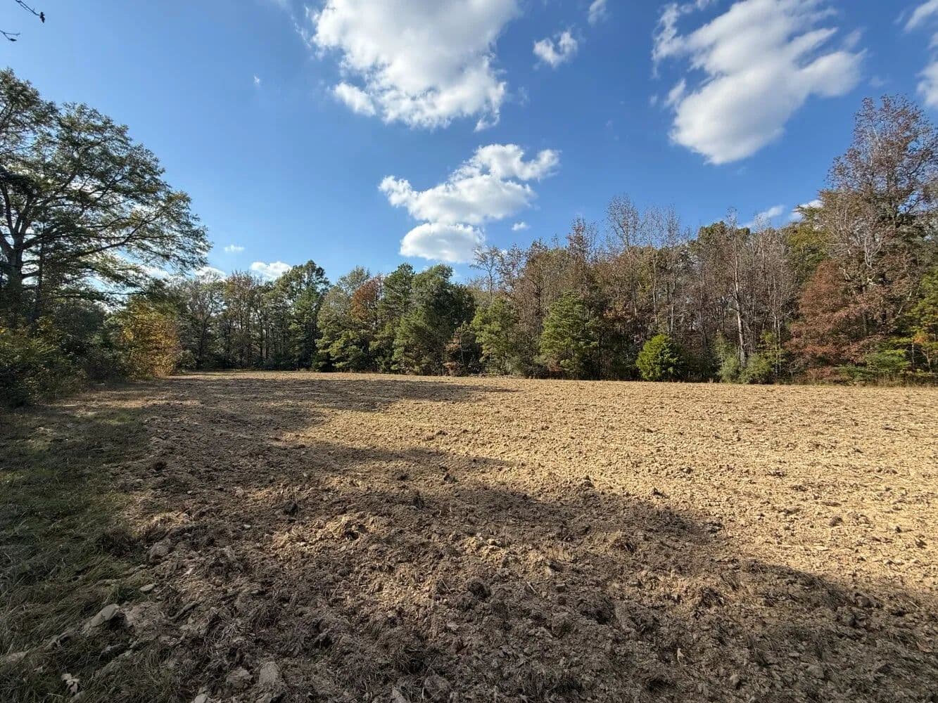 McConnico Creek Recreational Tract - Forkland, Alabama, 36740