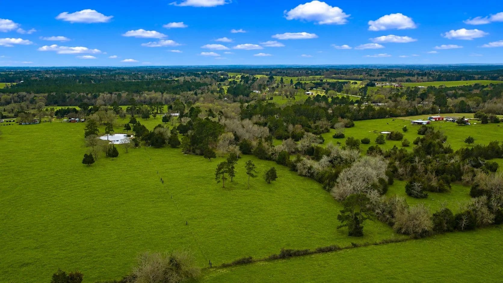 12.94 Acres of Land for Sale in Montgomery, TX - Montgomery, Texas, 77356