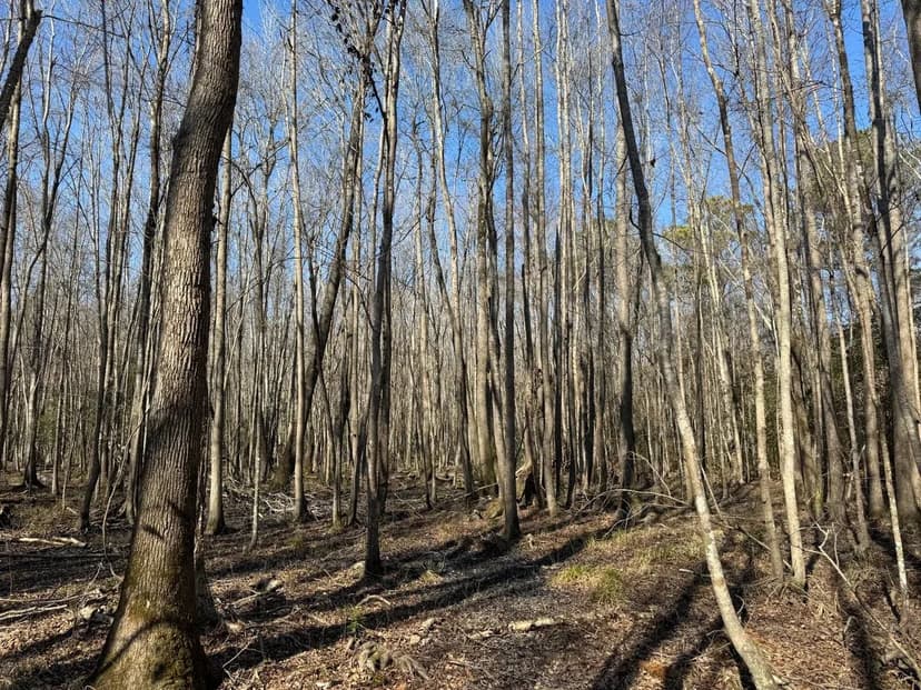 Little Rafting Creek