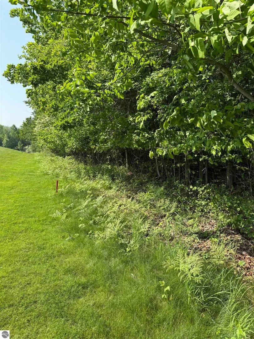 Vacant Land in Kewadin - Kewadin, Michigan, 49648