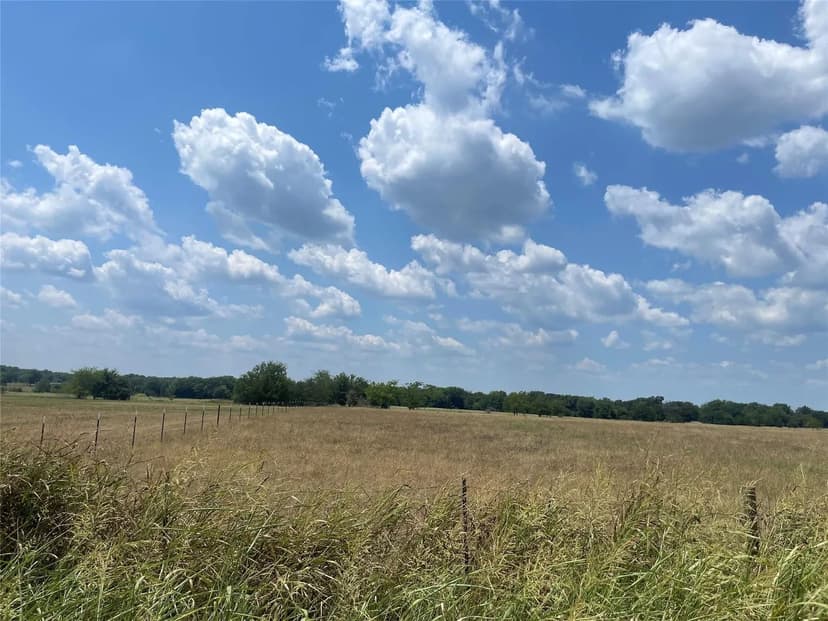Vacant Land (10+ Acres) in Sulpur Bluff
