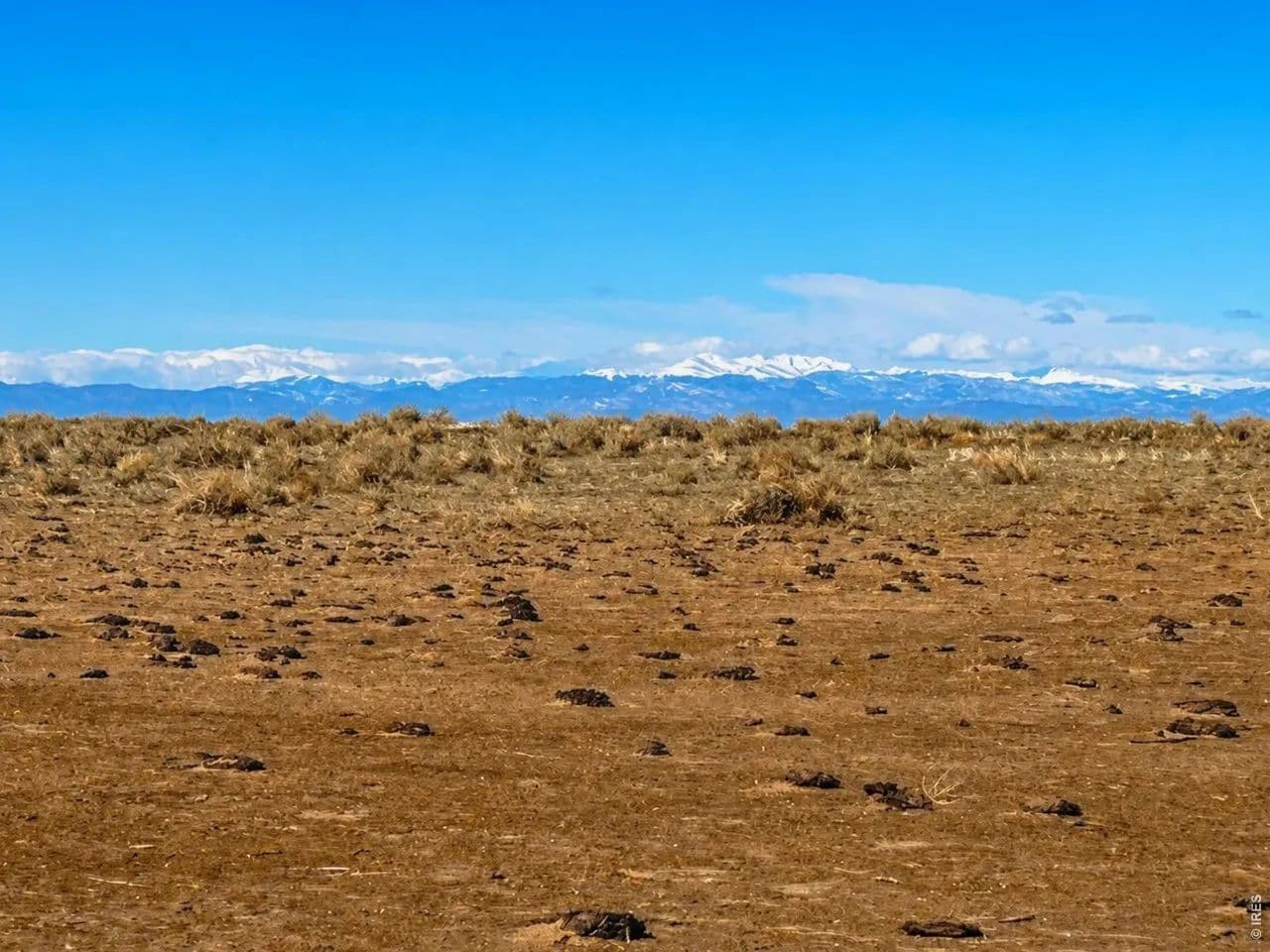 35 Acres of Land for Sale in Briggsdale, Colorado - Briggsdale, Colorado, 80611