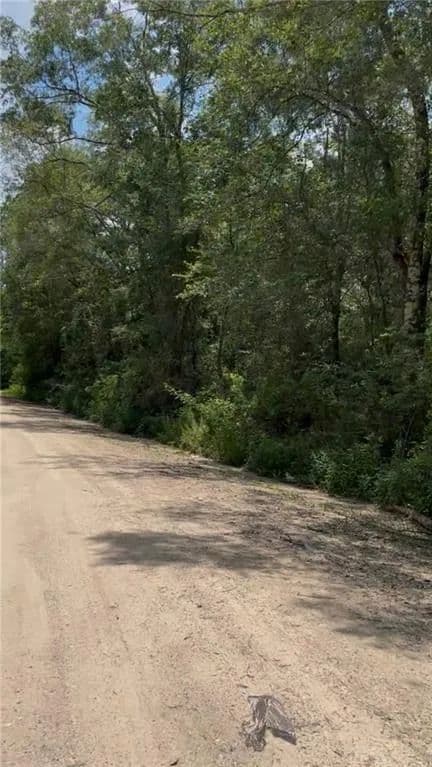 5.2 Acres of Land for Sale in Theodore, AL - Theodore, Alabama, 36582