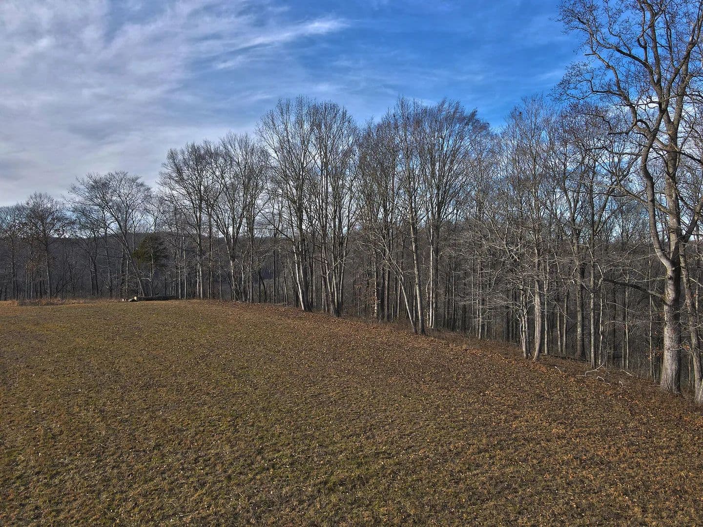 Property from 52 Dockery Road - KW - Russell Springs, Kentucky, 42642