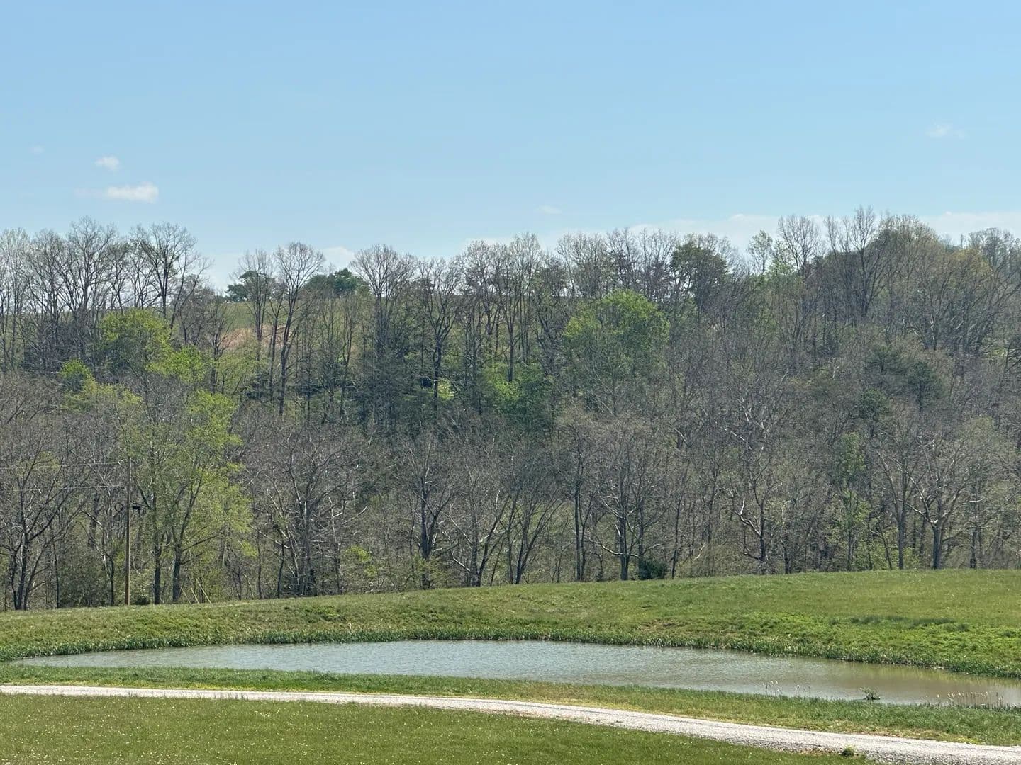 Land -Single Family Acreage in East Bernstadt - East Bernstadt, Kentucky, 40729