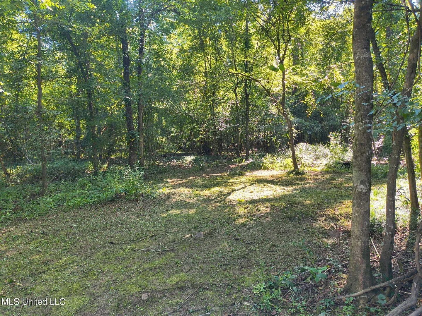 Lots & Land-Other in Lucedale - Lucedale, Mississippi, 39452