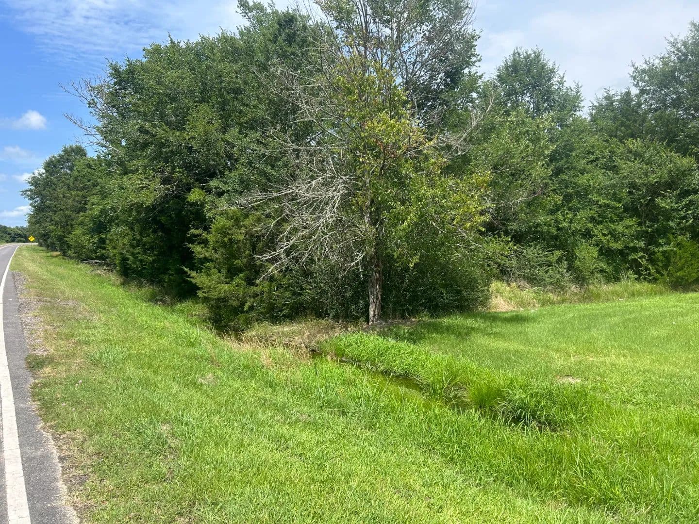 28 Acres in Franklin Parish, LA  - Winnsboro, Louisiana, 71295