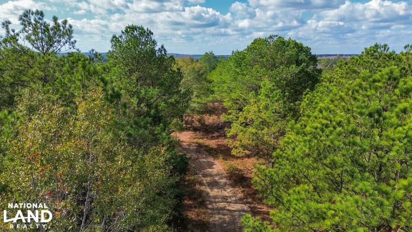 South Chilton Co Hunting and Home Site Tract