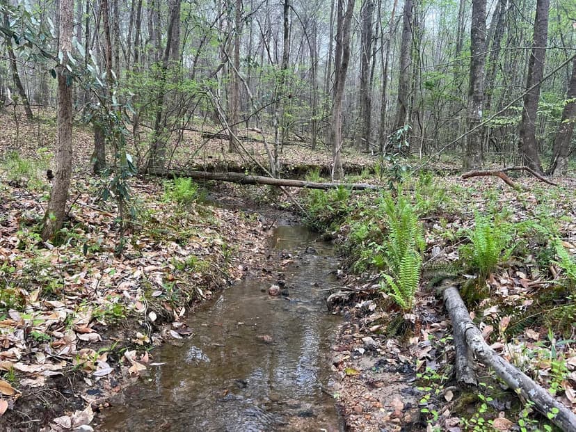17+/- Ac near Lake Martin and Hwy 280