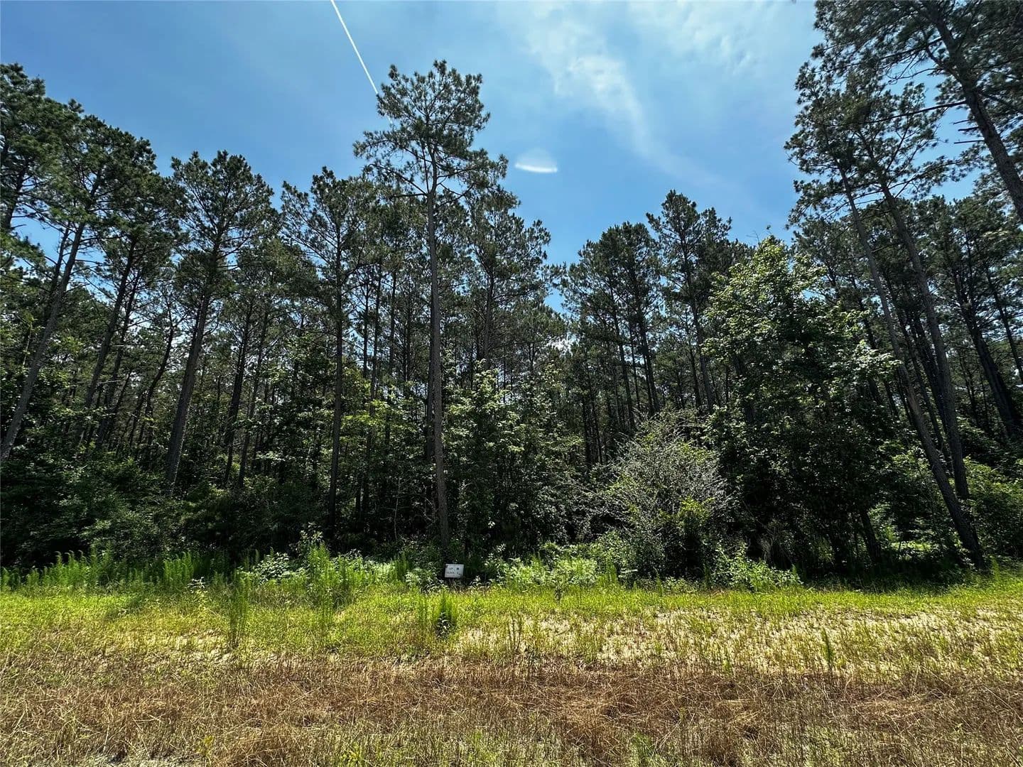 Property from 11885 Dawn Tree Lane - KW - Willis, Texas, 77378