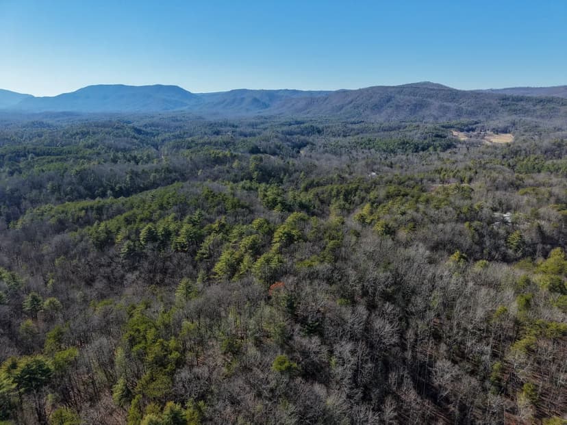 21 Acres in Monroe County, TN 