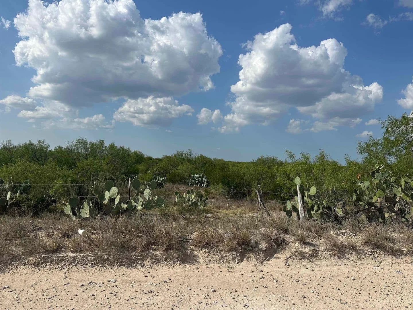 Vacant Land in Laredo - Laredo, Texas, 78045