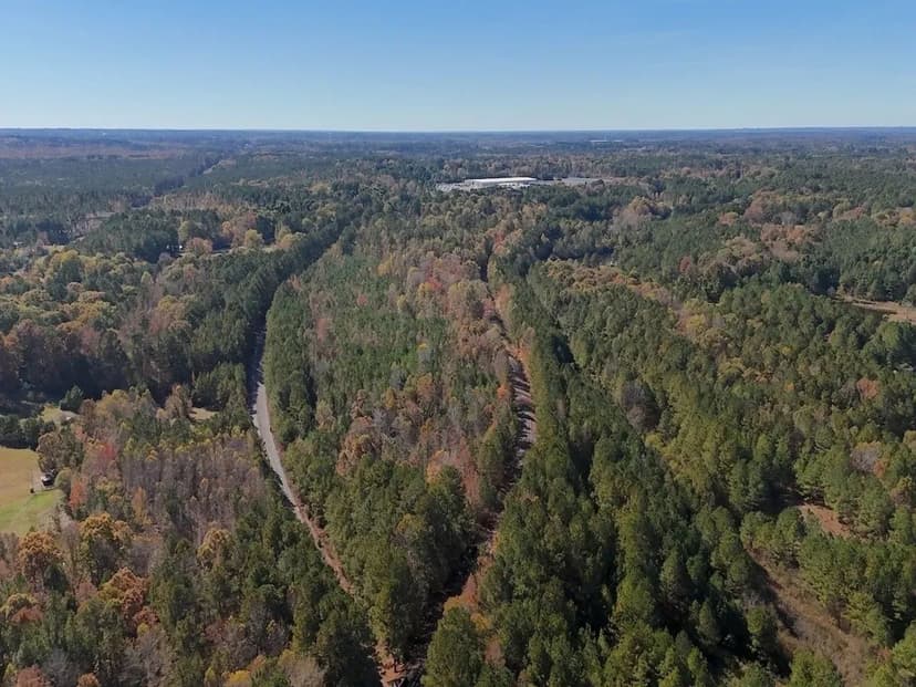 12.61 acres of Recreational Timberland for Sale in Lee County NC!
