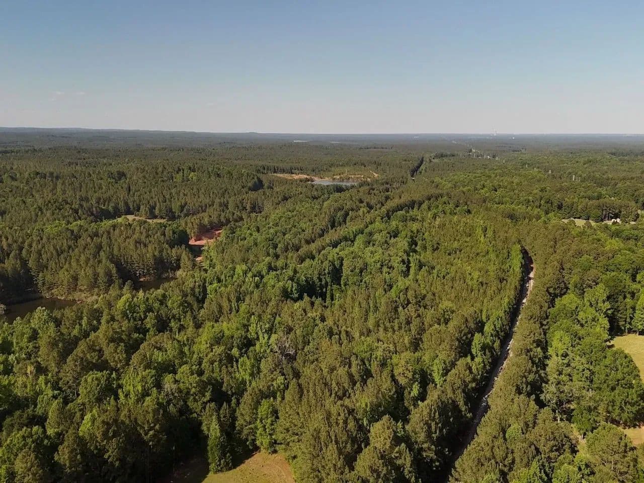 UPDATED!!  12.61 acres of Recreational Timberland for Sale in Lee County NC! - Sanford, North Carolina, 27330