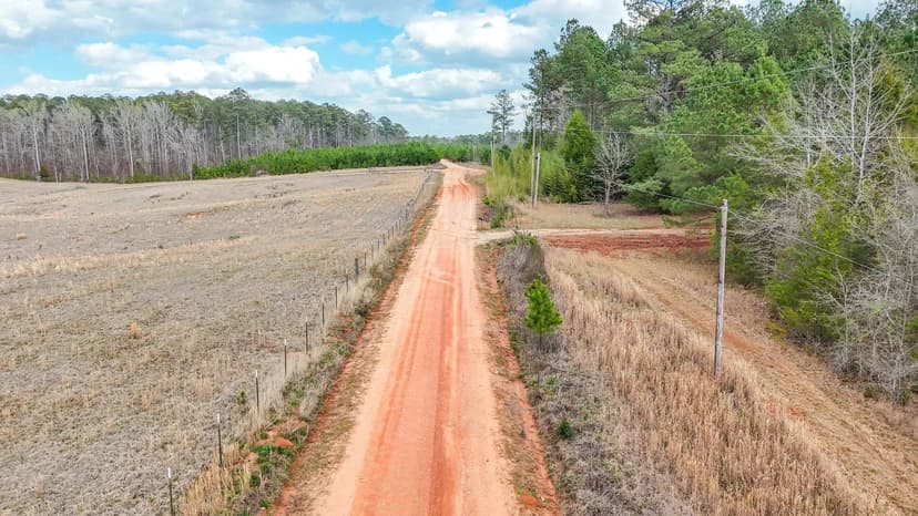 34± Acres – Hunting / Homestead Tract with Creek | Chambers County, AL