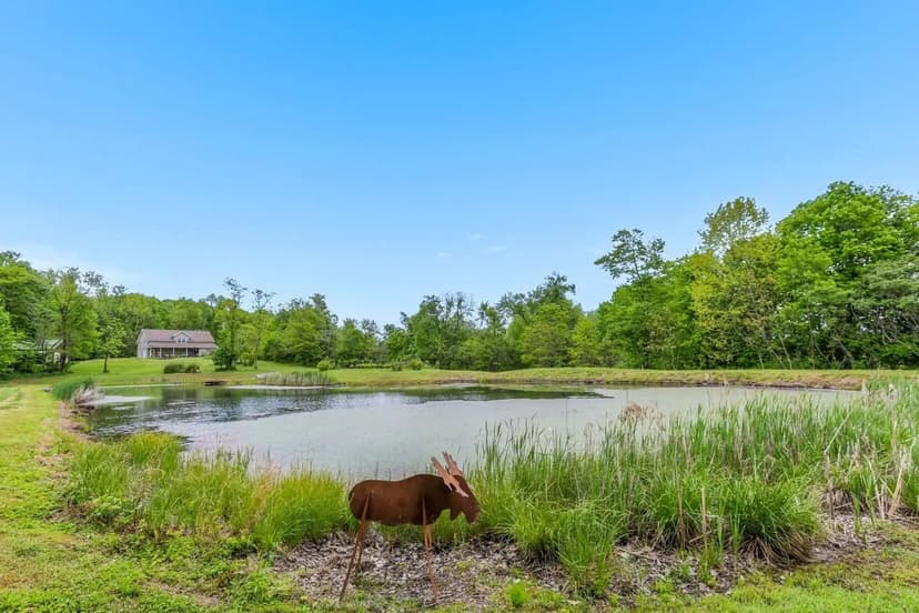 St Rt 78 - 82 acres